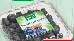 Spar Spar Vital Heidelbeeren Angebot