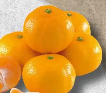 Spar Satsumas Angebot