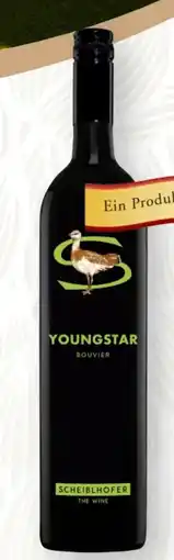 SPAR Gourmet Weingut Scheiblhofer Youngstar Angebot