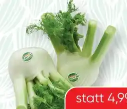 SPAR Gourmet Spar Natur pur Bio-Fenchel Angebot