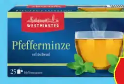 Hofer Westminster Tee Angebot
