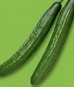 Hofer Hofer Marktplatz Bio-Gurke Angebot