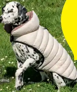 Hofer Romeo Hunde Bomberjacke Angebot