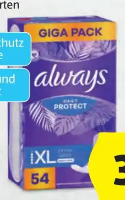 Hofer Always Slipeinlagen Angebot