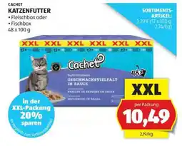 Hofer CACHET KATZENFUTTER Angebot