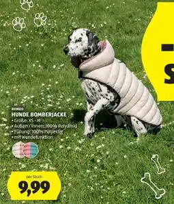 Hofer HUNDE BOMBERJACKE Angebot