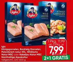 Spar Iglo Königsgarnelen, Backteig Garnelen, Polardorsch natur XXL, Wildlachs Natur MSC oder Kabeljau Natur MSC Angebot