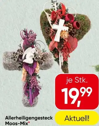 Spar Allerheiligengesteck Moos-Mix Angebot