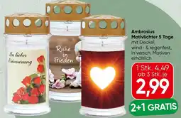 Spar Ambrosius Motivlichter 5 Tage Angebot