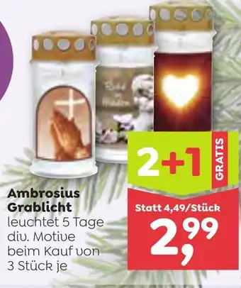ADEG Ambrosius Grablicht Angebot