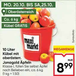 Maximarkt 10 Liter Kübel mit oberösterr. Jonagold Äpfeln Angebot