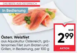 Maximarkt Österr. Welsfilet Angebot