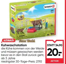 Maximarkt Kuhwaschstation Angebot