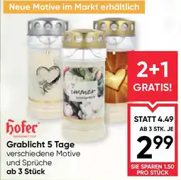 Maximarkt Grablicht 5 Tage Angebot