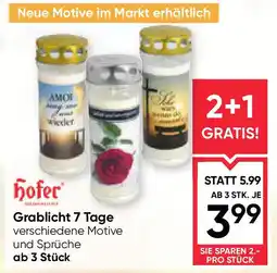 Maximarkt Grablicht 7 Tage Angebot
