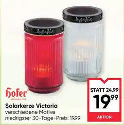 Maximarkt Solarkerze Victoria Angebot