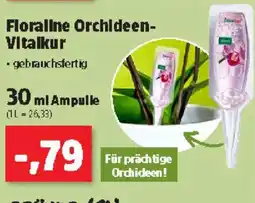 Thomas Philipps Floraline Orchideen- Vitalkur Angebot