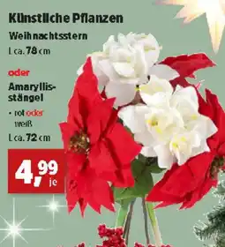 Thomas Philipps Künstliche Pflanzen oder Amaryllis- stängel Angebot