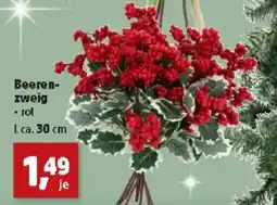 Thomas Philipps Beeren- zweig Angebot