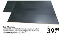 Hellweg Sieb-/Filmplatte Angebot