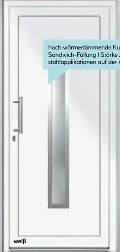 Hellweg Kunststoff-Haustür Signum PVC Mod Angebot