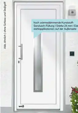 Hellweg SplenDoor Premium-Haustür Passivedoor Malmo Angebot