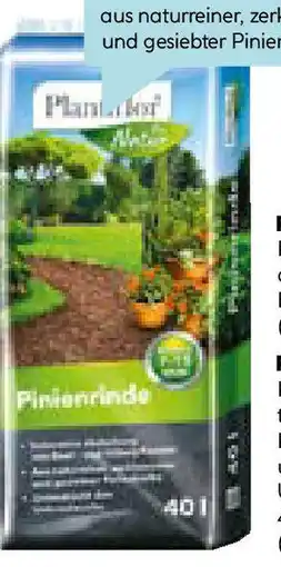 Hellweg Plantiflor Rindenmulch Angebot