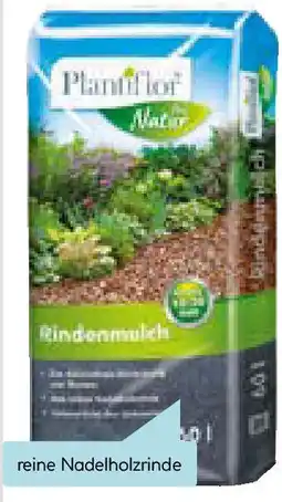 Hellweg Plantiflor Pinienrinde Angebot
