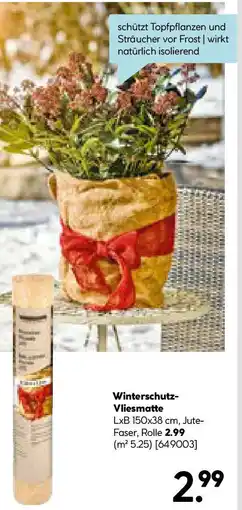 Hellweg Winterschutz-Vliesmatte Angebot