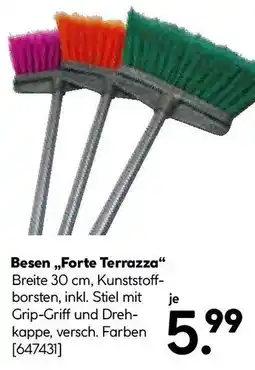 Hellweg Besen Forte Terrazza Angebot