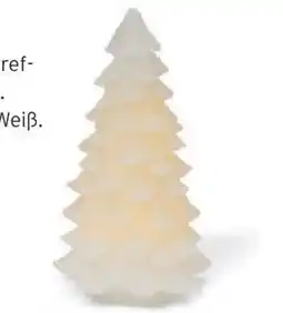 Tchibo Eduscho LED-Echtwachstanne Angebot