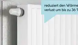 Hellweg Dämmplatte EPS Angebot