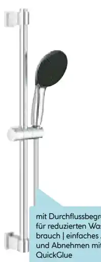 Hellweg Grohe Brausestangenset Vitalio Start 110 Angebot