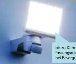 Hellweg Steinel LED-Außenstrahler XLED home 2 S Angebot