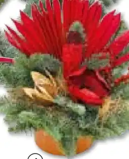 Hellweg Plantiflor Grabschale Angebot