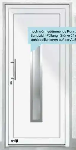 Hellweg Solid Elements Kunststoff-Haustür Modell KF03 Angebot