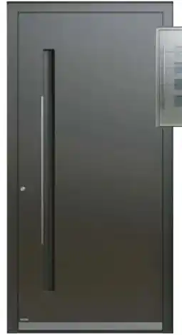 Hellweg Aluminium-Sicherheitshaustür Angebot