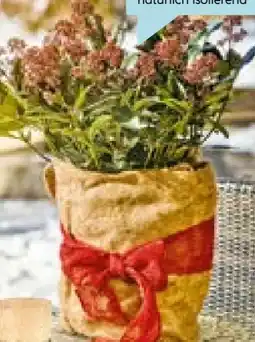 Hellweg Windhager Winterschutz-Vliesmatte Angebot