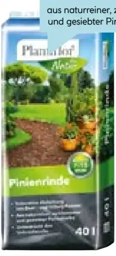 Hellweg Plantiflor Pinienrinde Angebot