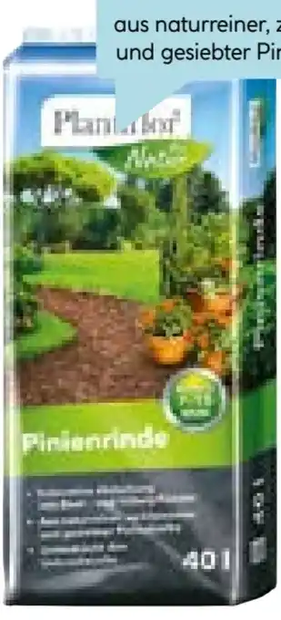 Hellweg Plantiflor Pinienrinde Angebot