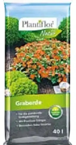 Hellweg Plantiflor Graberde Angebot