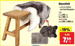 Thomas Philipps Kunstfell Angebot