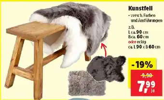 Thomas Philipps Kunstfell Angebot