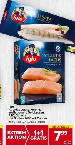 Billa Iglo Atlantik Lachs, Forelle, Wolfsbarsch, Goldbrasse, ASC, Dorsch, MSC od. Zander Angebot