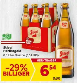 Billa Stiegl Herbstgold Angebot