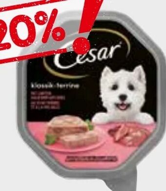 Interspar Hundenahrung Angebot