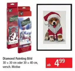 Pagro Diskont Diamond PAINTING Angebot