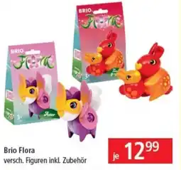 Pagro Diskont Brio Flora Angebot