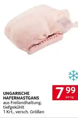 Transgourmet Ungarische hafermastgans Angebot
