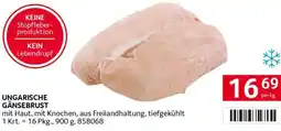 Transgourmet Ungarische gänsebrust Angebot